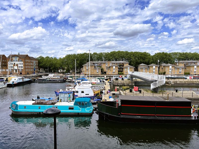 Main Image